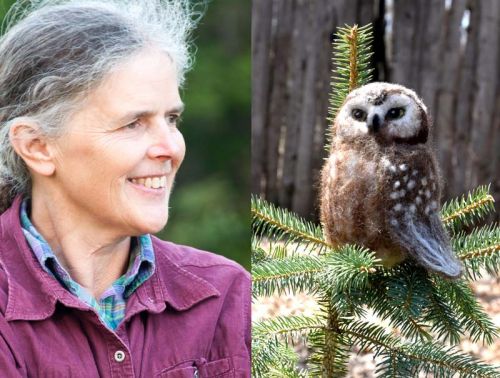 Left: Rosemary Kotze. Right: Kokze - felted saw whet owl